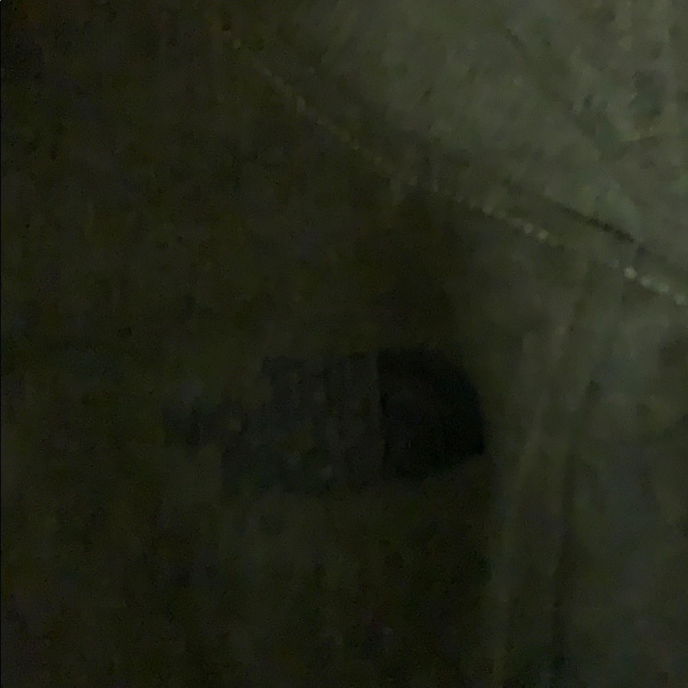 Jacket - Picture 3 of 4